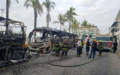 Todo lo que necesitas saber sobre la crisis que azota